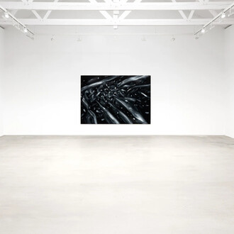 Alex Katz, The Venice paintings, exhibition view. Courtesy of Thaddaeus Ropac Gallery