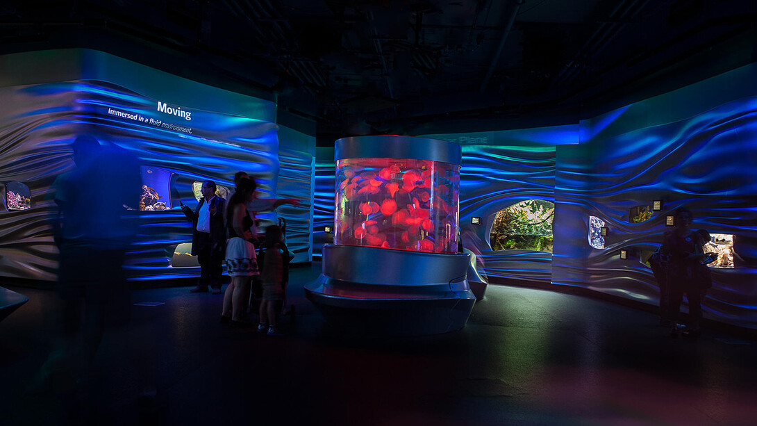 Water Planet. Courtesy of California Academy of Sciences