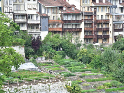 Food production plots in Bern, Switzerland, one of many urban agriculture initiatives in Europe © Ashish Kothari