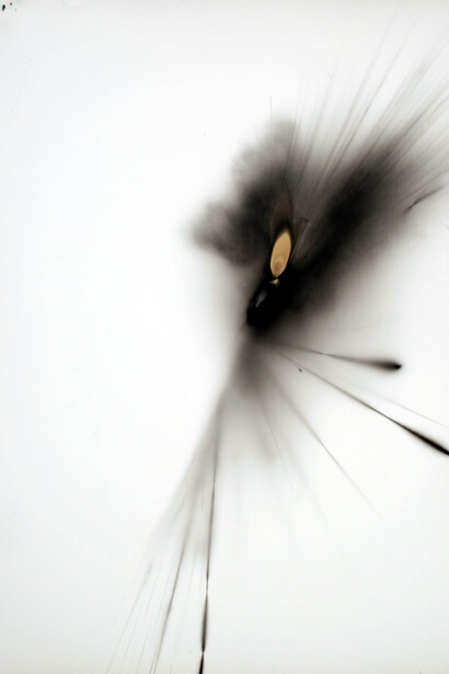 6. Elia Cantori - Untitled (Black Explosion)