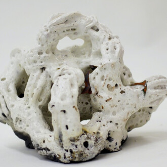 Rebecca Manson. Courtesy of Mark Moore Gallery