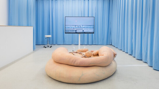 Synthetic Seduction. Courtesy of Annka Kultys Gallery