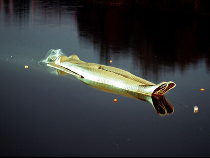 Immersive Sculpture Vltava, 2000, (c) Kurt Gebauer