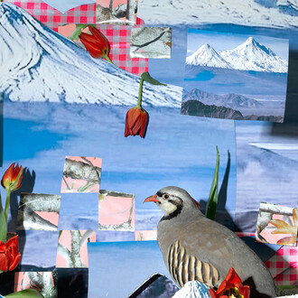 Sheida Soleimani, What a Revolutionary Must Know (detail), 2022 فداییان خلق, archival pigment print, 40x30 inches. Edition of 3 + 2 AP. Courtesy the artist and Denny Gallery, NYC