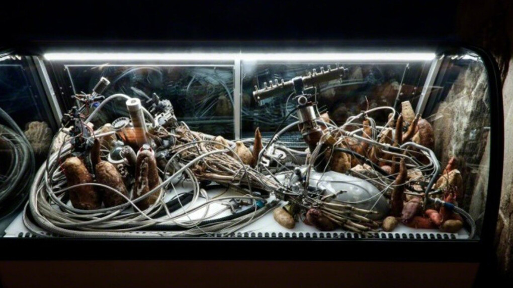 Adrián Villar Rojas. Courtesy of MOCA