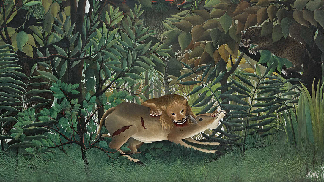 Wilderness. Courtesy of SCHIRN