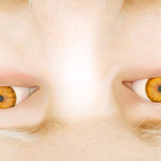 Stine Deja, Thermal Womb