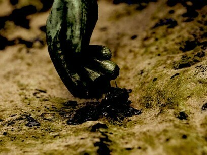 2019 Northeast Brazil oil spill