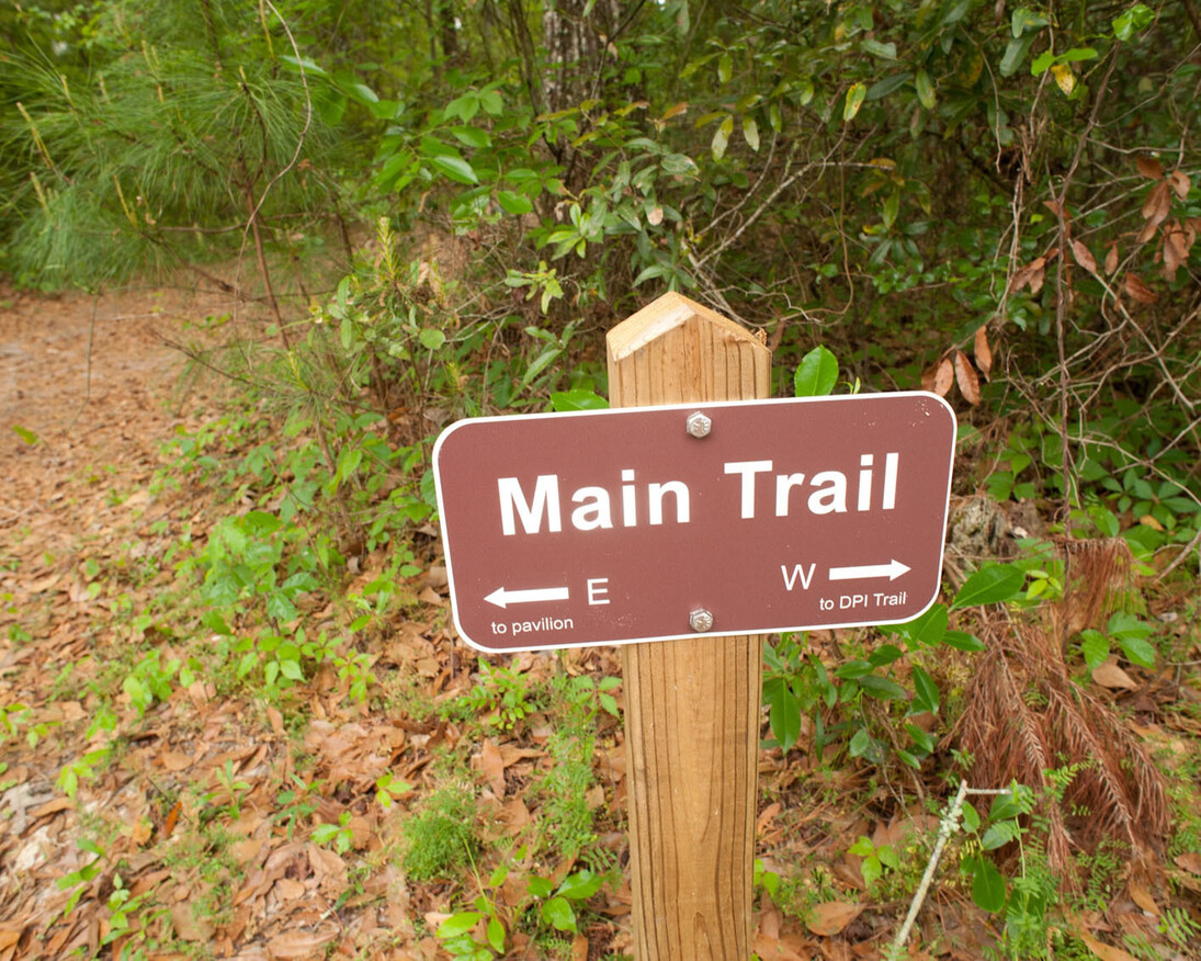 Natural Area Teaching Lab Trails. Courtesy of Florida Museum of Natural History