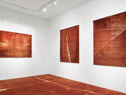 Marcos Chaves, Sangue azul, vista da exposição. Cortesia da Galeria Nara Roesler