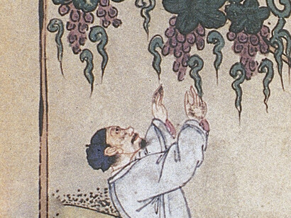 Illustration of the cultivation of grapes and winemaking in Materia Dietetica (Shiwu Bencao 食物本草), Ming dynasty (1368–1644)