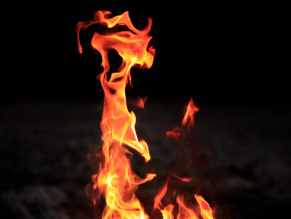 Burning forest