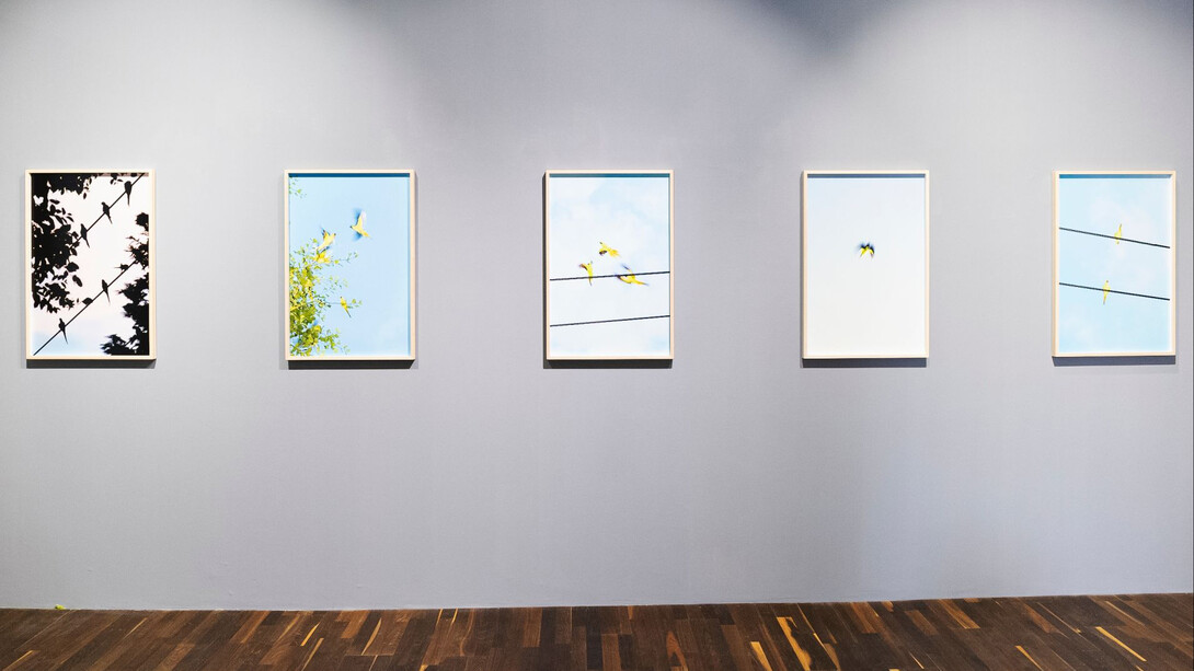 Yoshinori Mizutani. Courtesy of Christophe Guye Galerie