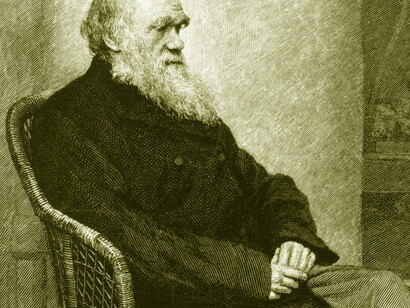 It was Darwin's grandfather, Erasmus, also a doctor, who became famous for first outlining the evolutionary theories that later developed his nephew Charles