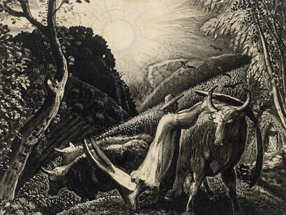 Prints and Drawings. Courtesy of Princeton University Art Museum