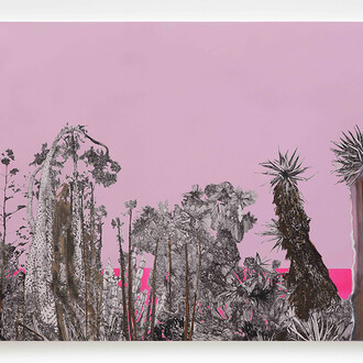 Cactus Trash and Treasure, 2016, ink and oil on wood panel, 91,44 x 121,92 x 05 cm (36 x 48 x 2 in.). Courtesy of galerie Art : Concept