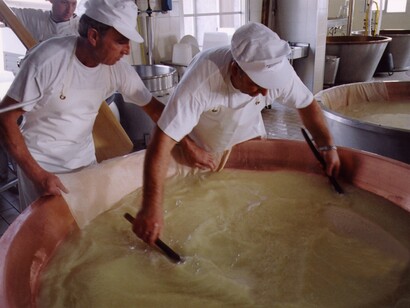 Parmesano Reggiano, operación dicha de *levatura*. Crédito Consorcio Parmesano Reggiano
