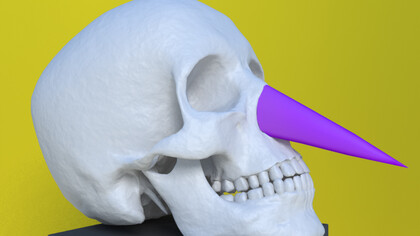  Gino De Dominicis, Skull with long nose