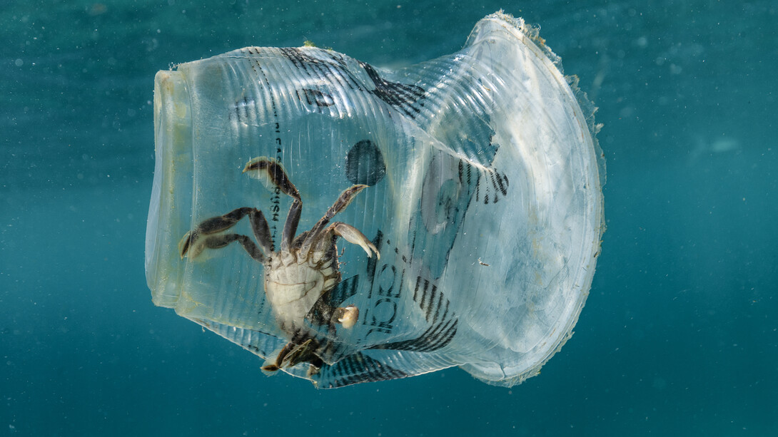 La plastica invade i nostri mari