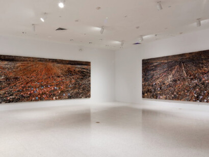 Regeneration Series, Exhibition view. Courtesy of NSU Art Museum