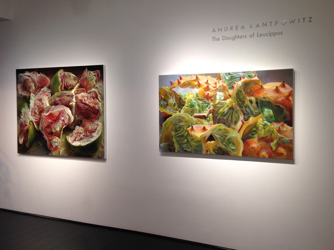 Andrea Kantrowitz, Installation view