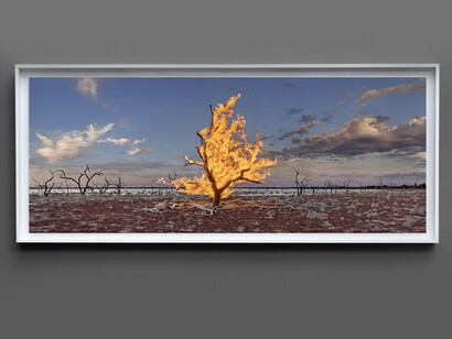Murray Fredericks, Blaze #16, Packers Lake, Great Darling Anabranch, 2022