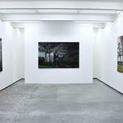 Jiri Svestka Gallery