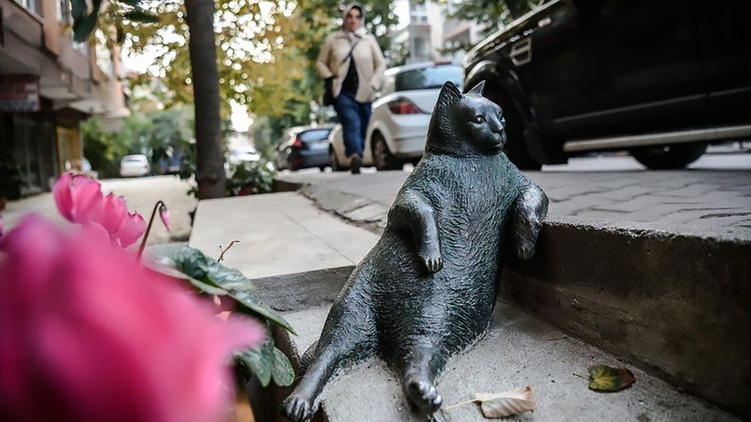 Istanbul's endearing tribute to its beloved feline resident with a sculpture of Tombili the cat, capturing the city's affection for its furry inhabitants