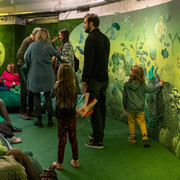 Spectrum of light. Exposure to colour. Green, exhibition view. Courtesy of Wroclaw Contemporary Museum