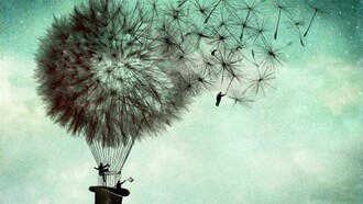 A new life
