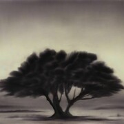 Mosh Kashi, Ash Tree, oil on canvas, 145 x 95 cm, 2014