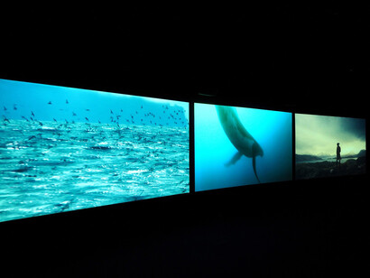 Sublime Seas. Courtesy of San Francisco Museum of Modern Art