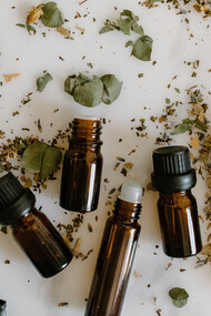Plantes médicinales. Les plantes médicinales ont donc été utilisées depuis des millénaires pour traiter diverses maladies et plus largement tous les troubles de la santé