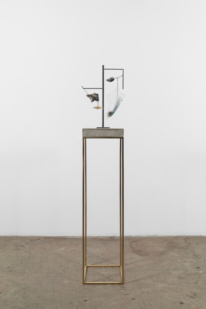 Carol Bove, Mussel Shell, 2014, Peacock feather, seashells, found object, steel, concrete, and brass, 67 1/4 x 12 1/2 x 12 inches (170.8 x 31.8 x 30.5 cm). Courtesy David Zwirner, New York/London