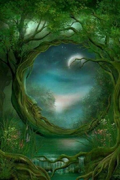 L'albero addormentato