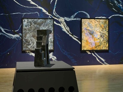 Kambui Olujimi, North star, exhibition view. Courtesy of San Jose Museum of Art