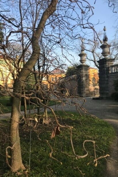 L'Orto Botanico nei colori d'inverno