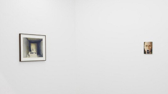 Jan De Maesschalck. Courtesy of Zeno X Gallery