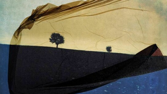 Galerie Vrais Ràves, Danilo Sartoni, Paysage 1988 transfert, Polaroid 20x24cm piece unique