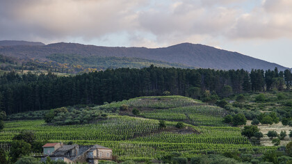 Guardiola, Alta Mora