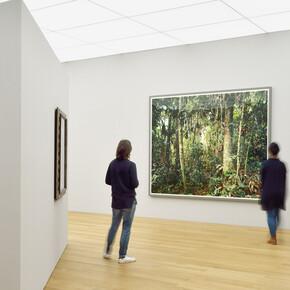 Thomas Struth. Courtesy of Kunstmuseum Liechtenstein