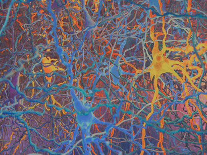Mapa neuronal desarrollado por The Human Brain Project