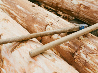 I have grown taller from standing with Trees. Courtesy of Copenhagen Contemporary