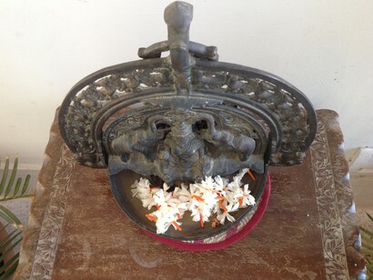 Flores de *árvore-triste* em Jaipur, India