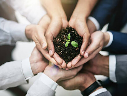 In a display of unity, a business team comes together to hold a plant, reflecting their shared dedication to cultivating growth and prosperity