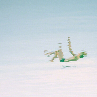 First Look. Courtesy of Panopticon Gallery