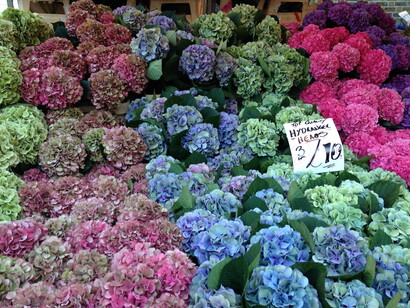 Londres. Toda una oferta de color