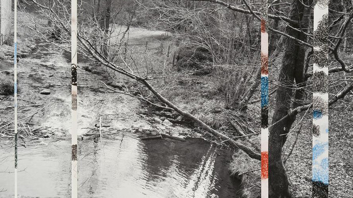 Ardennes Uncovered: Loss, 2014, one photograph, four drawings, 13.14 x 20.75 inches, 33 x 53 cm