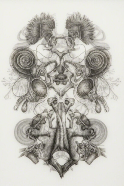 The Afterlife of Rosy Leavers. Courtesy of Blindspot Gallery