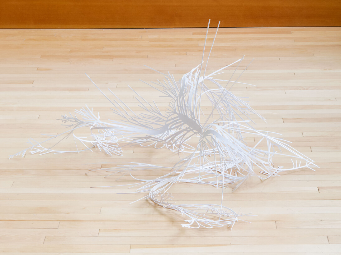 Zack Davis, Leg Nerves, courtesy the artist and Brand New Gallery, Milano